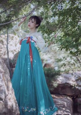 v娘的故事在线播放_1080P高清在线观看